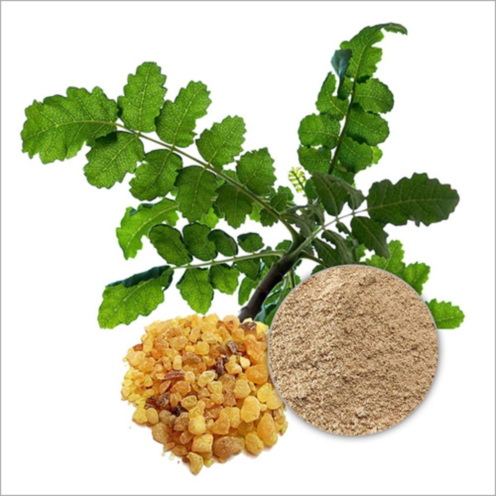 boswellia-serrata-extract-powder-1000x1000
