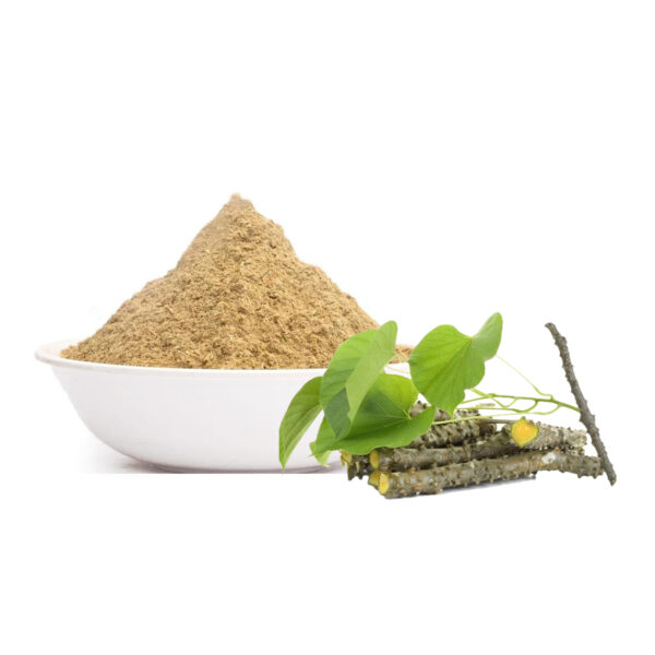 Giloy-powder-1