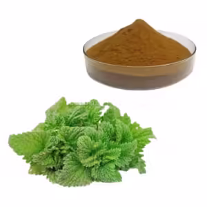 Natural-Stinging-Nettle-Root-Extract-Powder-Nettle-Leaf-Extract