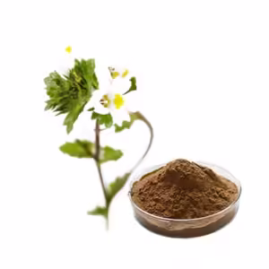 Euphrasia-Officinalis-Powder-Extract