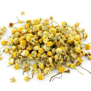 Chamomile bud