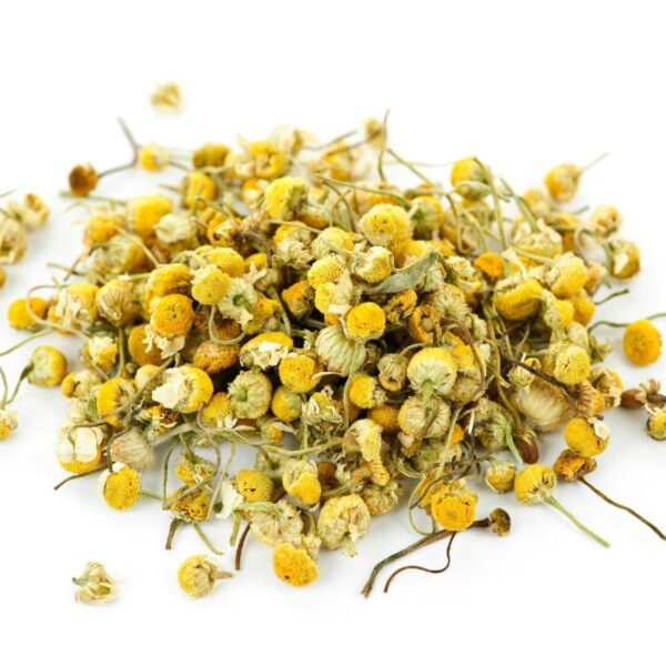 Chamomile bud