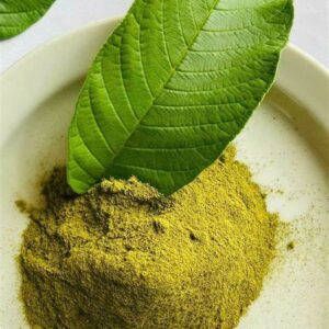 guava leaves powder