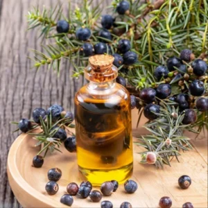 Juniper-Berry-Essential-Oil