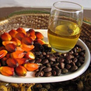 Palm Kernel Oil