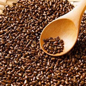 Cassia seeds