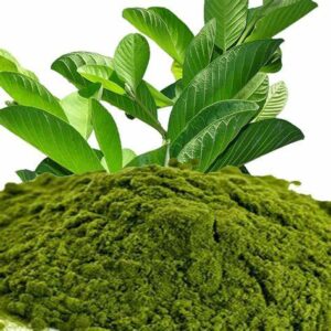 Guava leaves