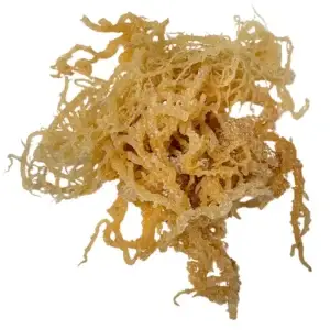 Sea moss wildcrafted