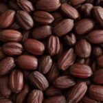 jojoba-seeds