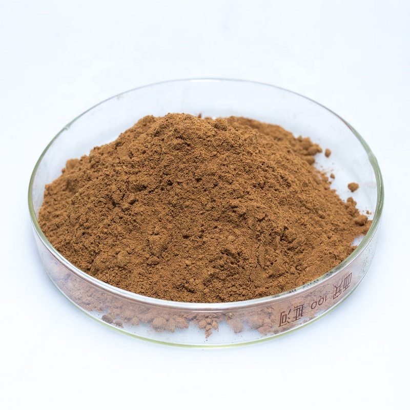 Rhodiola Powder