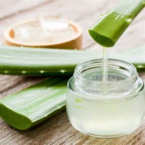 aloe vera