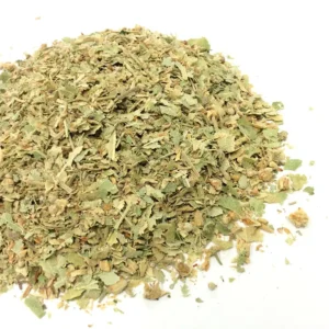 Linden Leaf