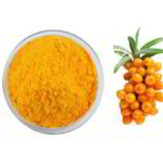 Sea-buckthorn