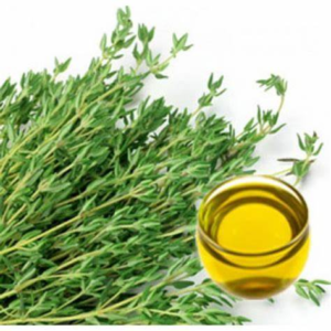 Thyme Essential Oil