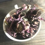 Echinacea dried herb