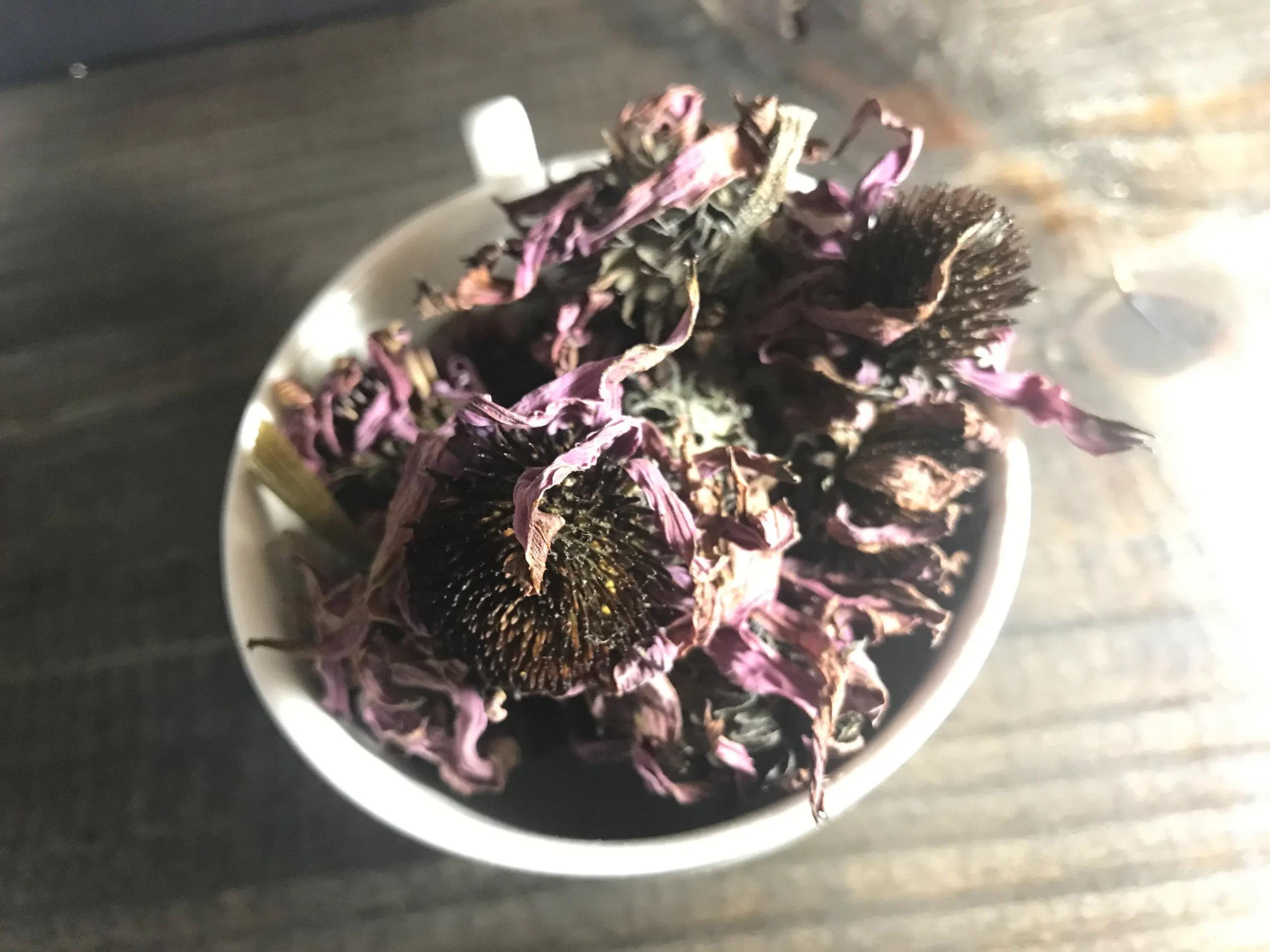 Echinacea dried herb