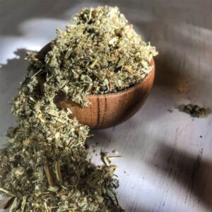 Mugwort Herb